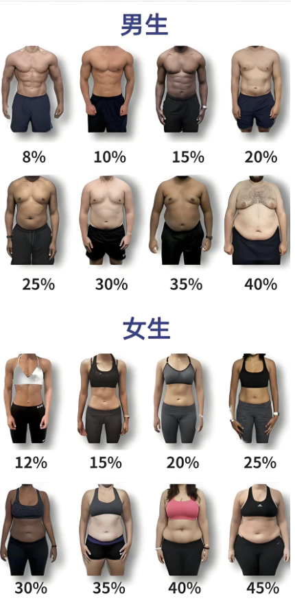 重回BMI20：中年人减肥如何不踩坑，健康安全变瘦