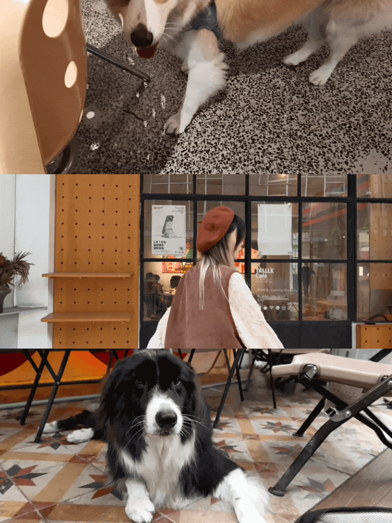 十年沉淀再出发:AI 赋能 + 跨生态兼容,Live Photo 开启动态影像新篇章