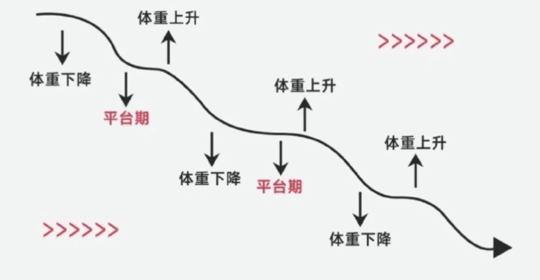 重回BMI20：中年人减肥如何不踩坑，健康安全变瘦