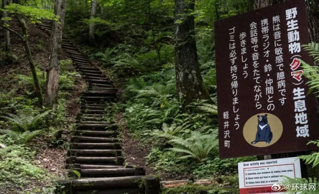 日本熊灾现场有明显吃人痕迹,半年12人死于熊口，“吃人熊” 案例打破130年纪录