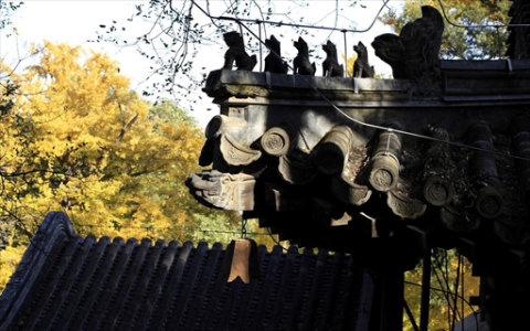 嘉戎技术拟并购IPO违规标的杭州蓝然 业绩承压下的协同赌局引关注