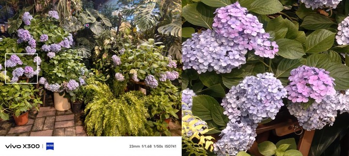 标准版的存在感之战！「荣米OV」四大金刚标准版横评