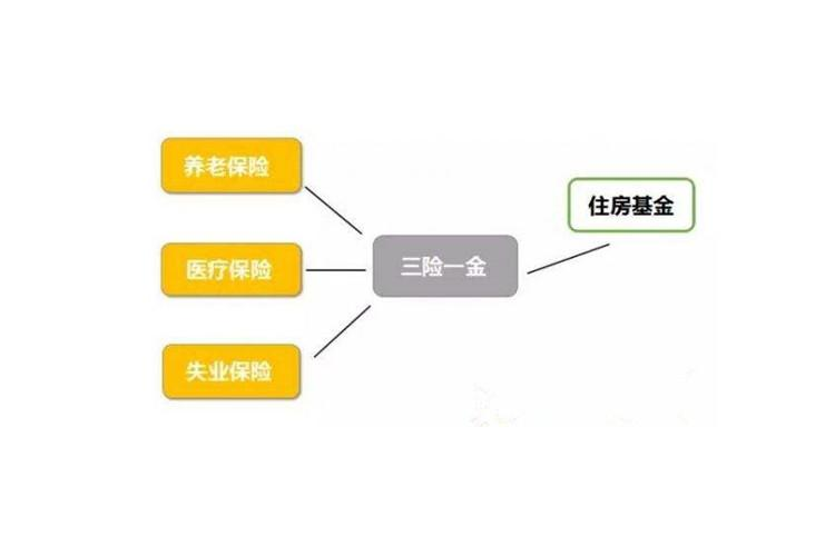 三险一金 信息图