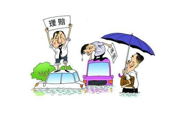 保险理赔案例示意图