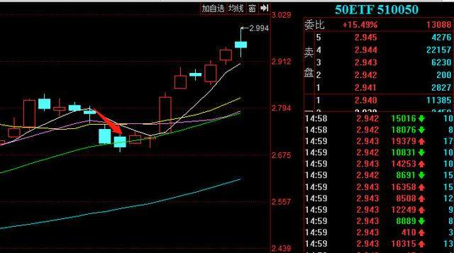 科创50ETF期权2025年11月案例