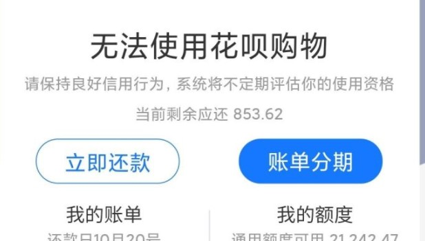 花呗额度无法使用界面