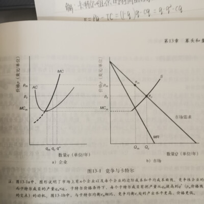卡特尔组织理论示意图
