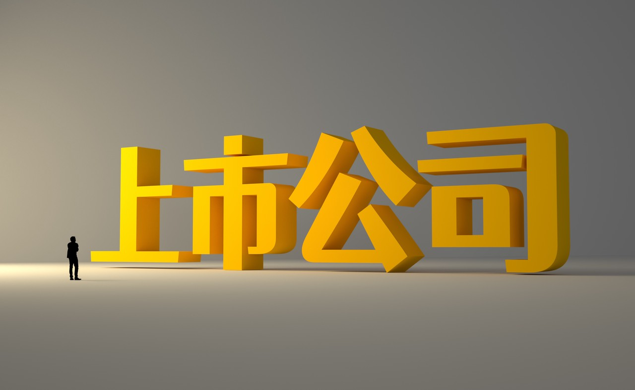 上市公司概念图