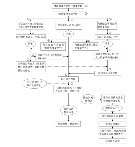 农业贷款申请流程示意图