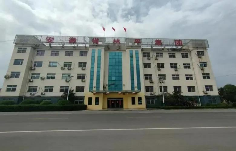 林平发展 公司