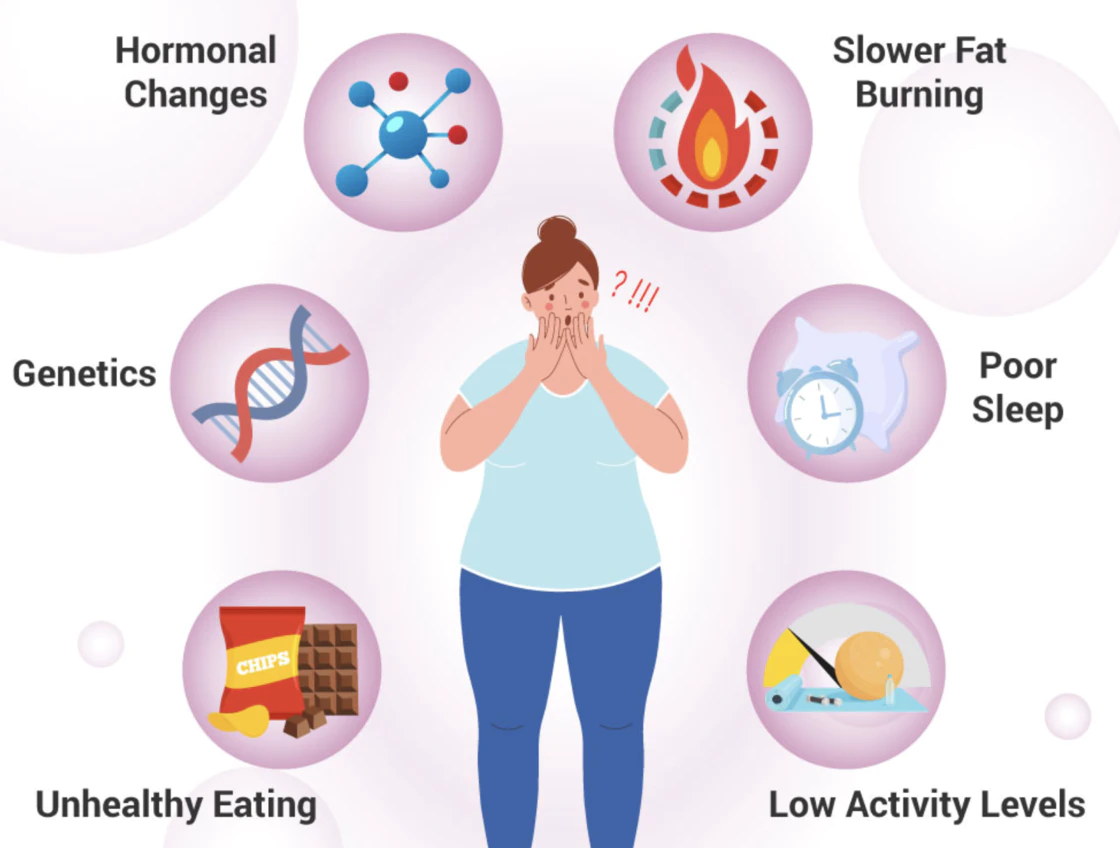 重回BMI20：中年人减肥如何不踩坑，健康安全变瘦