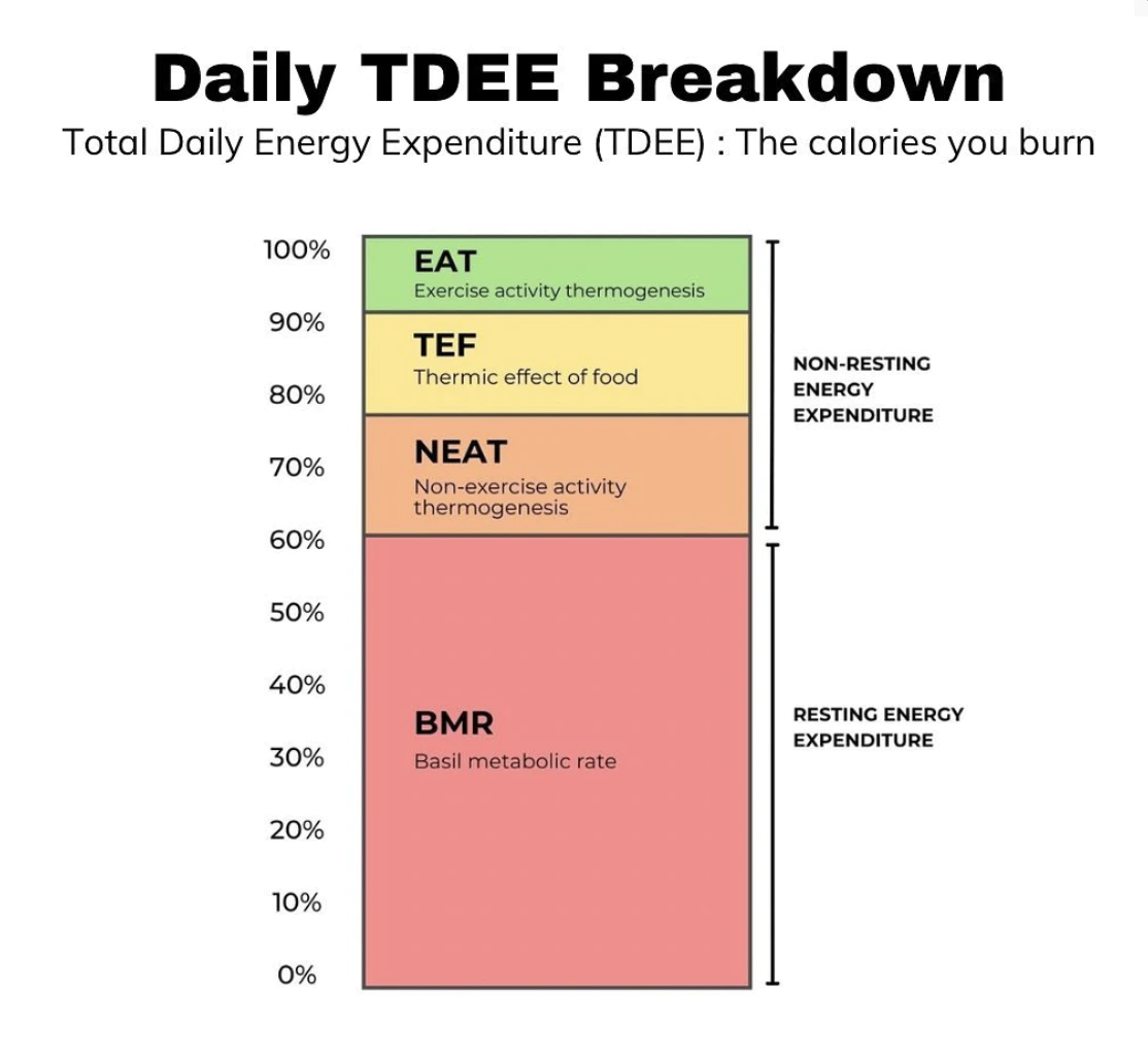 重回BMI20：中年人减肥如何不踩坑，健康安全变瘦