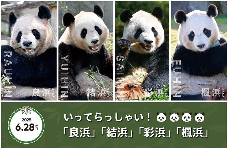 大熊猫良浜家族回国宣传海报