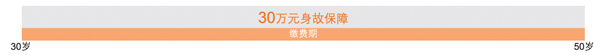 定期寿险缴费与保障期限示意图