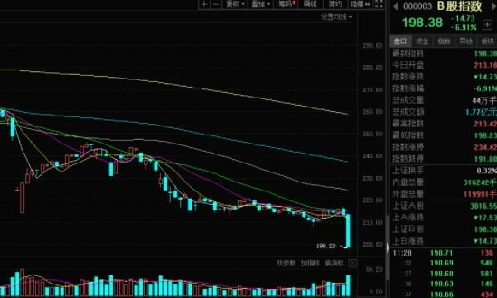 B股交易界面 示例