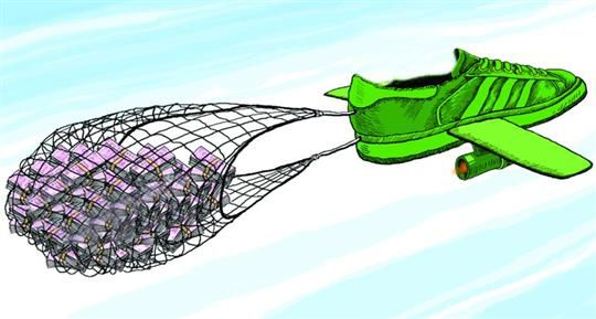 绿鞋机制概念图