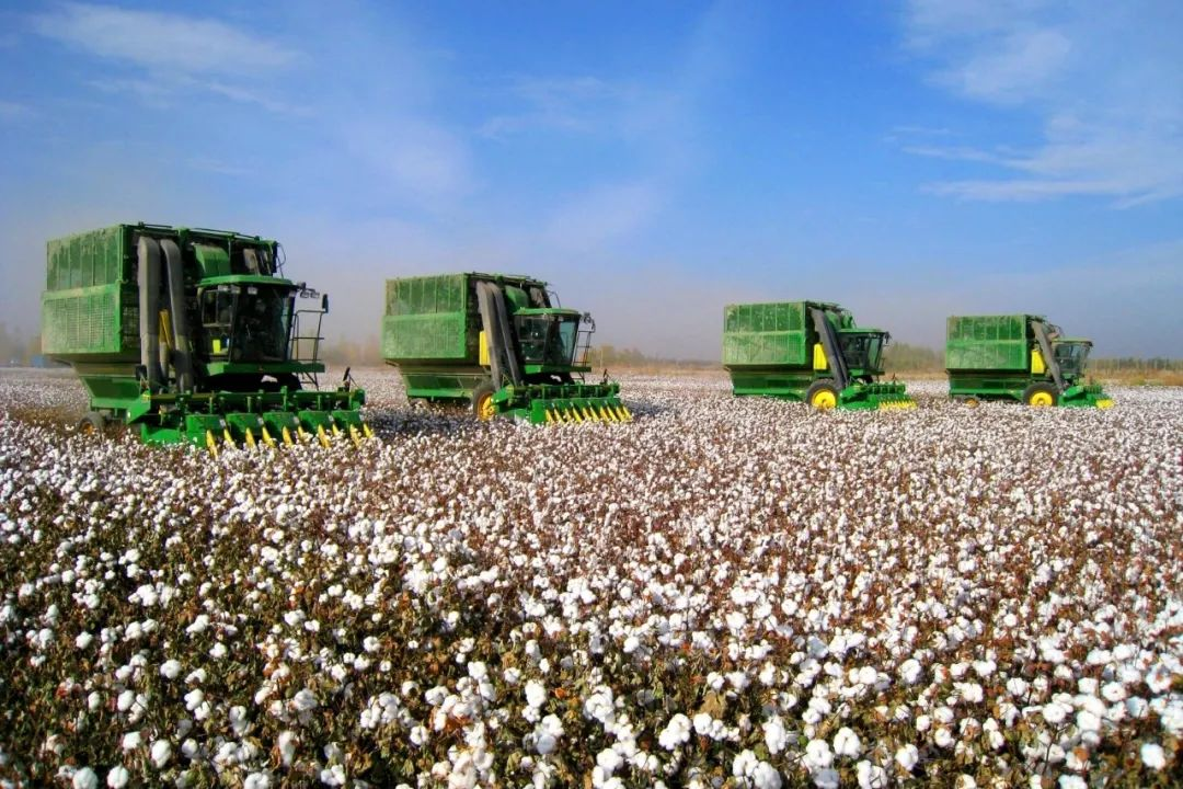 棉花机械化种植场景