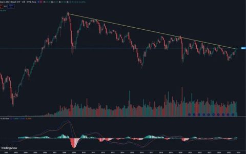 巴西：实用主义和中间派的堡垒