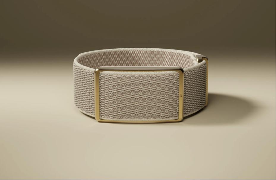 砍掉屏幕，年费上千：这款“极简”手环凭什么估值200亿？