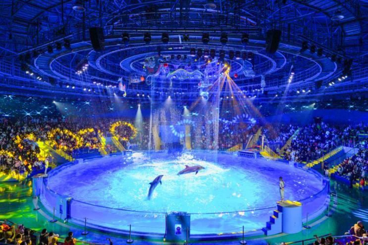 全国主题乐园第一县落子中部小城，它到底凭什么？