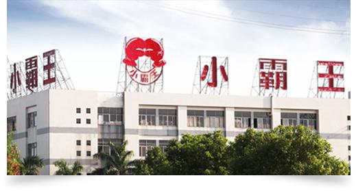 从步步高到价值投资：段永平的商业传奇之路