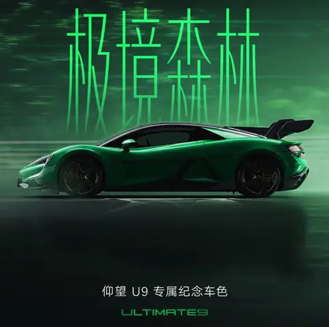 5万外观选配价！仰望U9极境森林色上线