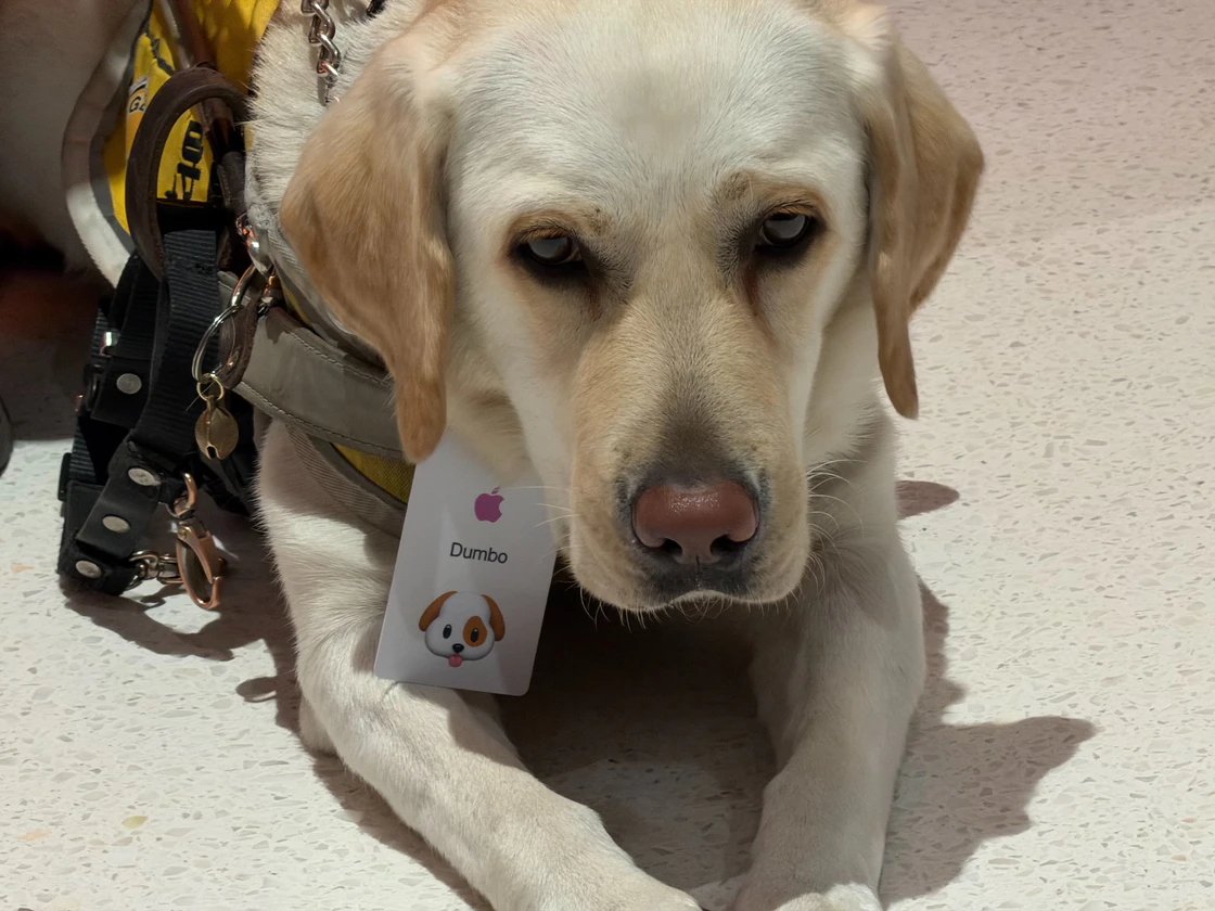 十年磨一剑！Apple 北京荟聚 12 月 6 日开业，北京第 6 家直营店抢先看