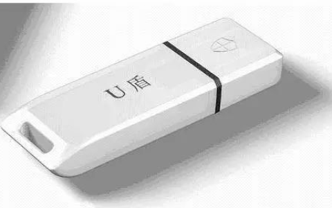 u盾丢了怎么办?真实案例告诉你U盾丢失的后果