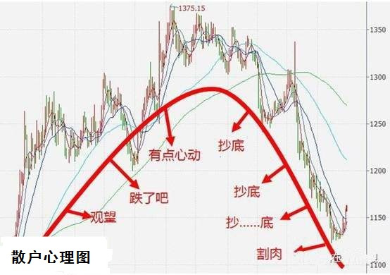 散户投资示意图