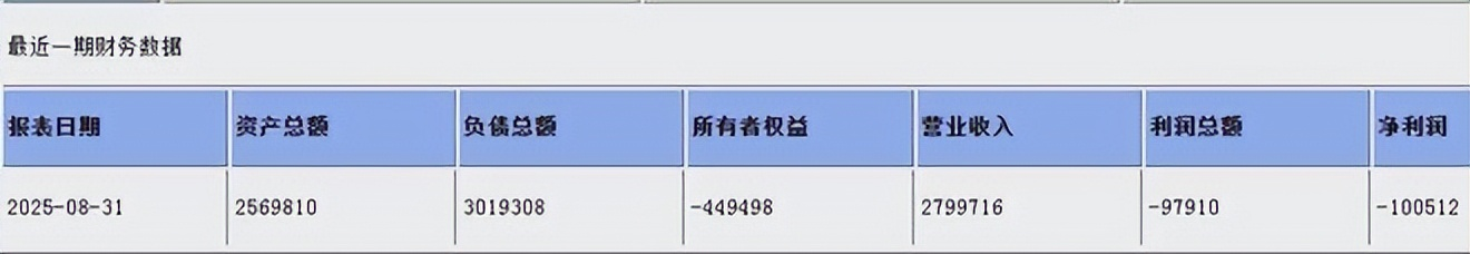 深蓝汽车最新财务数据