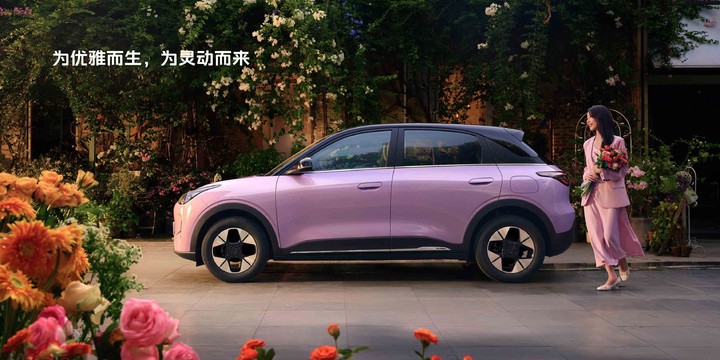 2025车市TOP20大洗牌:小车称王,油电共存,比亚迪退守国内销量前列