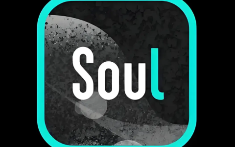 年赚 3.37 亿 + 1100 万 DAU，Soul 携 AI 大模型第四次叩响港交所大门