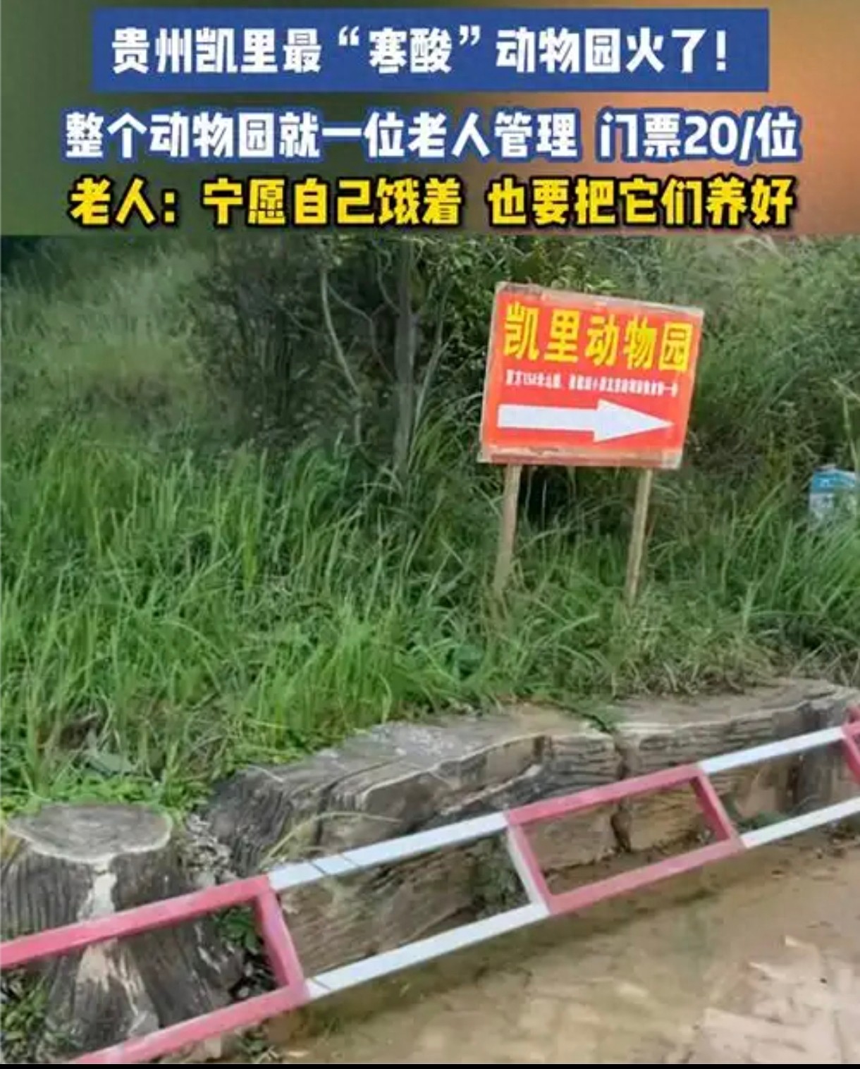 “史上最寒酸” 动物园好起来了,喜迎首个旅行团,山路硬化停止接受捐款