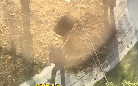 河南一市政绿化带被人埋入骨灰盒，涉事行为是否违法引热议