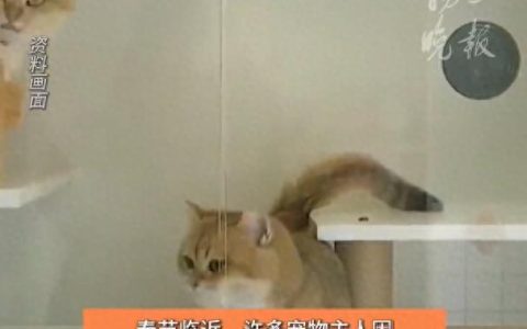 1afff69d6e834713a05be789f96ebf62~tplv-tt-origin-web:gif