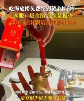 海底捞回应送黄金小马挂件，相关活动细节逐一释疑