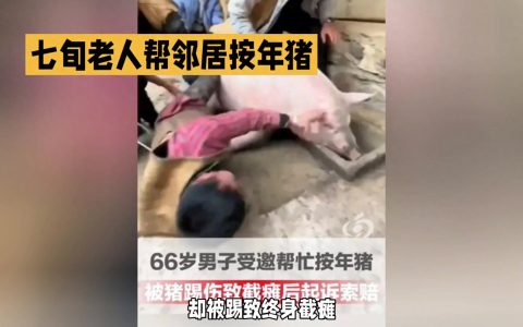 a90de91657bc4b81936ed6ff48aed153~tplv-tt-origin-web:gif