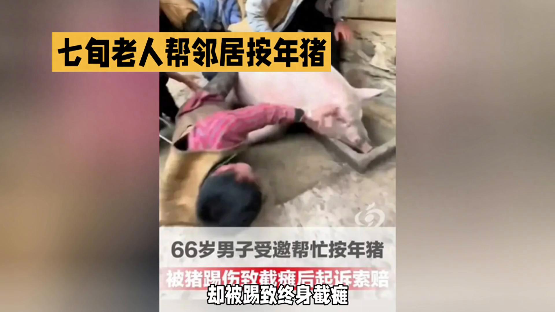 帮按年猪被踢致截瘫 邀约者判赔52万,伤者鉴定为四级伤残需五年护理期