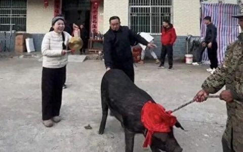 520546a400084c7c892c858ac26dc5b6~tplv-tt-origin-web:gif
