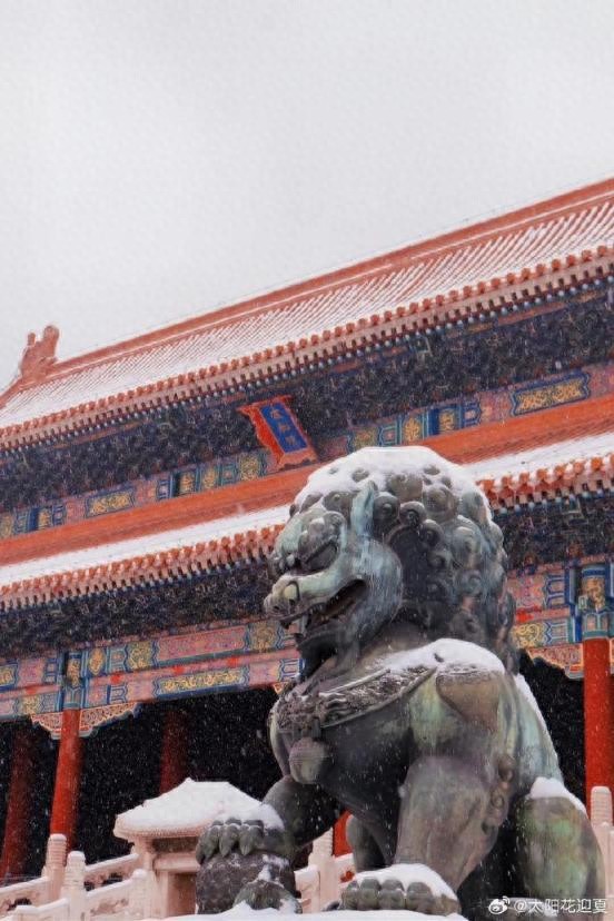 2026年北京的首场雪有多美,市民雪中赏景感受冬日浪漫