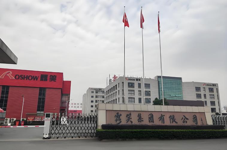 19亿募资仅投1.27亿，露笑科技砍9.5亿碳化硅项目资金 “补血” 流动资金