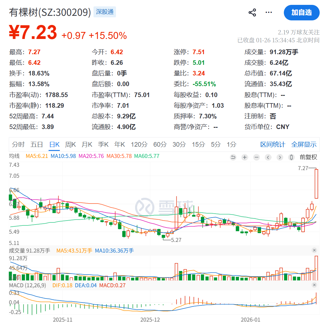 内斗拖慢财报、单季亏超 1500 万，有棵树更名行云科技能 “改命” 吗？