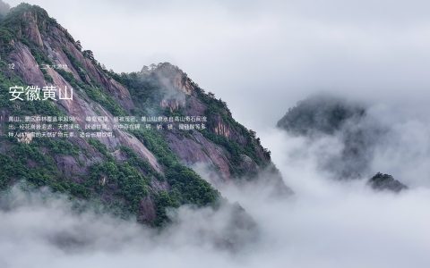 营收首破500亿！农夫山泉2025年净利增30.9%拟大手笔派息111亿元