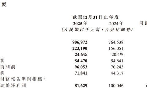 乐华娱乐2025年营收增18.63%，经调整净利下滑18.4%，拟授1250万股激励绑定王一博