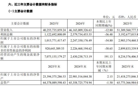 营收连降两季净利却暴增10倍，阿特斯非经常性损益占比超三成