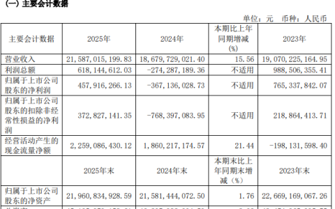 杉杉股份2025年净利由亏转盈，主业赚9.33亿却被投资亏掉一半