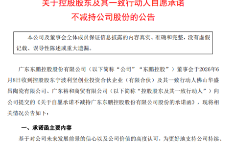 东鹏控股控股股东承诺不减持，去年营收降6.3%董事长薪酬298万