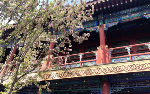 中荣印刷半月斥资1810万回购股份，均价16元较上限折价超四成