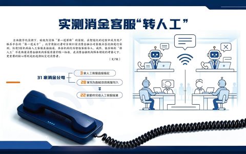31家持牌消金客服大测试
